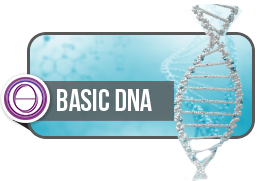BASIC DNA Praktik
