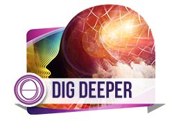 DIG DEEPER DNA Praktik