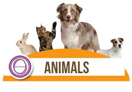 Animal Praktik Logo